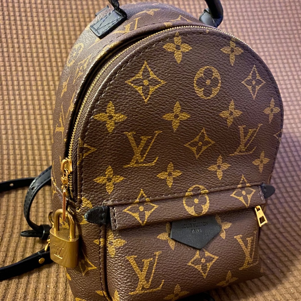 Louis Vuitton Palm Springs Mini Backpack